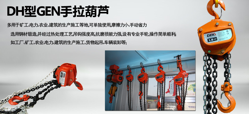 韓國(guó)DH型進(jìn)口手拉葫蘆圖