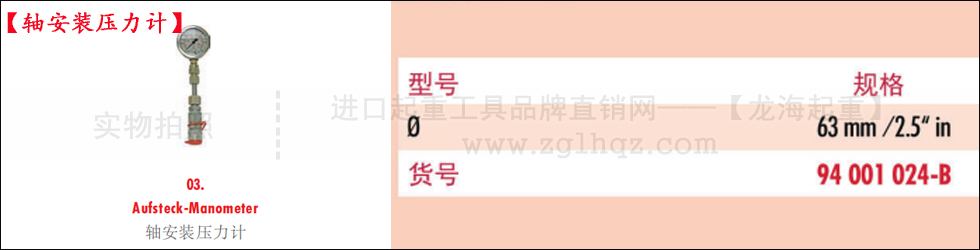 德國JUNG千斤頂配件：軸安裝壓力計