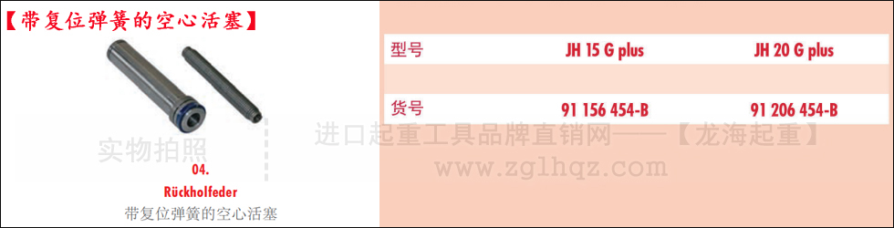 德國JUNG千斤頂配件：帶復(fù)位彈簧的空心活塞